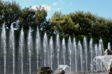 f0065768_8582477.jpg