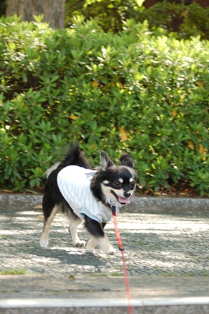 f0065768_8595082.jpg