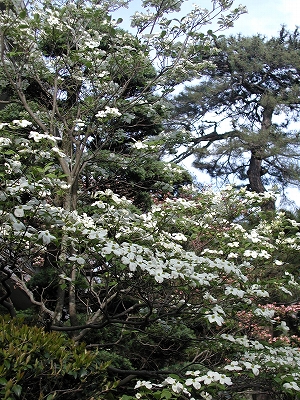 e0002676_10253089.jpg
