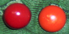 d0019292_2274534.jpg