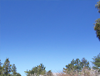 c0055305_1310141.jpg