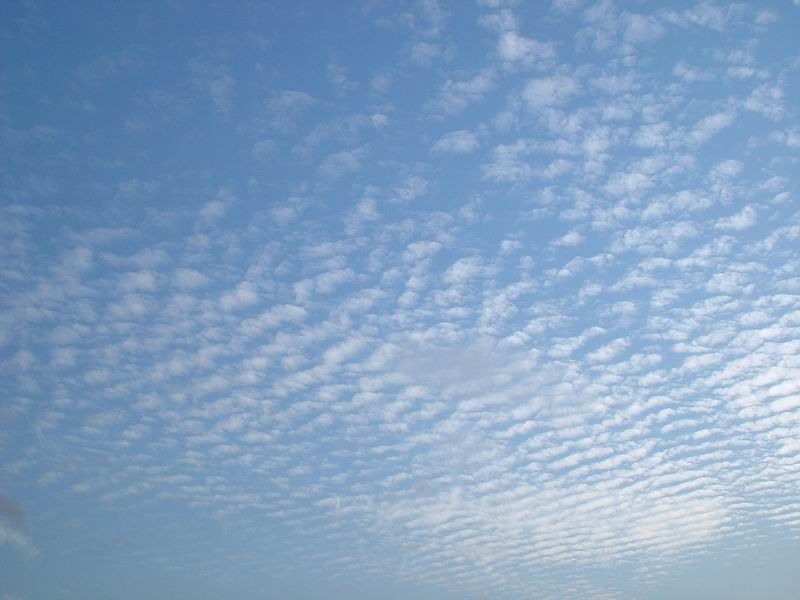 f0048205_7331058.jpg
