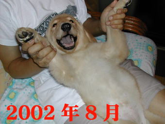 e0072606_22343430.jpg
