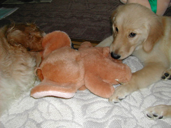 e0072606_2238343.jpg