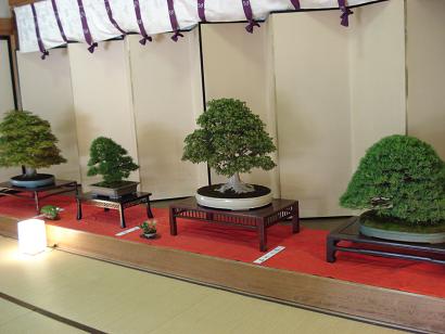 c0000307_17482015.jpg