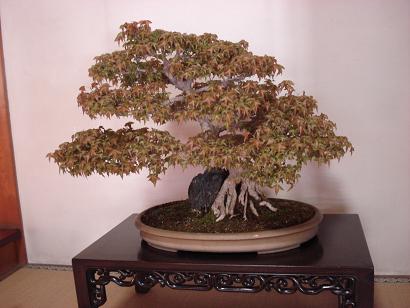 c0000307_17492274.jpg