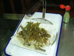e0002820_22531763.jpg