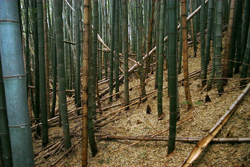 f0060424_1931446.jpg