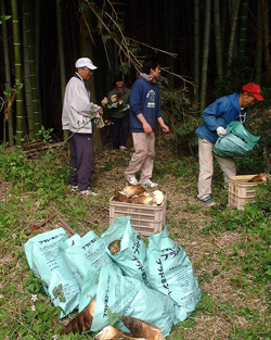 f0060424_2382921.jpg