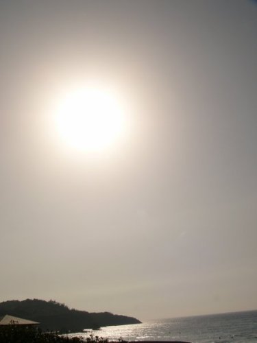 d0018131_2311516.jpg