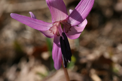 d0069235_23363241.jpg
