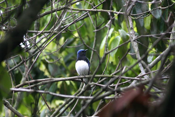 c0075539_18184851.jpg