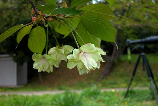 b0036743_21514853.jpg