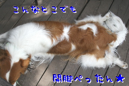 d0013149_21585467.jpg