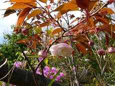 f0056250_19573099.jpg