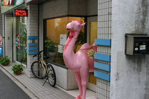 d0039955_19134330.jpg