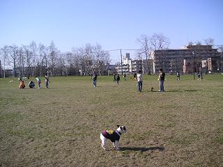 f0025355_18401547.jpg