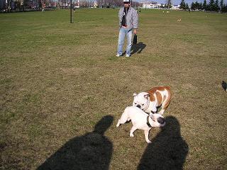 f0025355_18463631.jpg