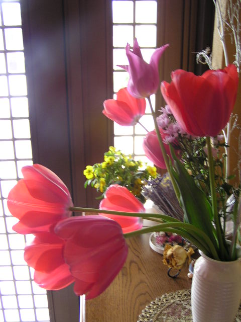 f0074659_2310286.jpg