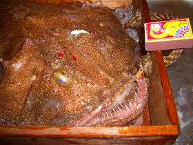 f0098360_2152692.jpg