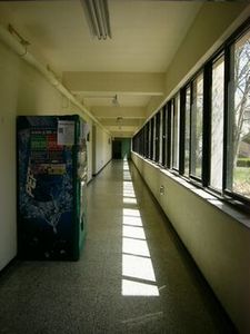 a0056461_1925127.jpg