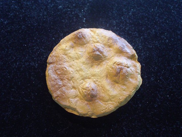 f0071362_1334682.jpg