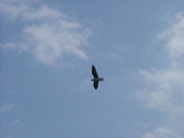 b0055171_21474962.jpg