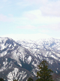 e0039871_1922255.jpg