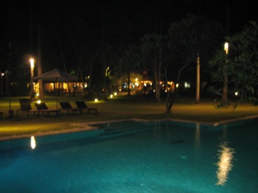 d0039075_2055519.jpg