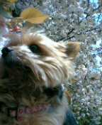 f0004180_1891693.jpg