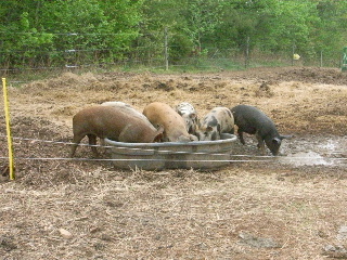 b0001284_23511927.jpg