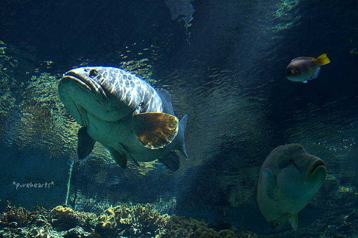 c0052787_20251771.jpg