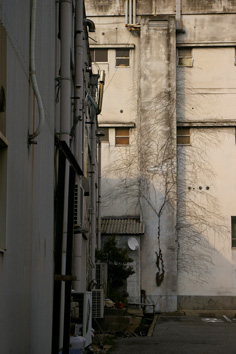d0013887_18485842.jpg