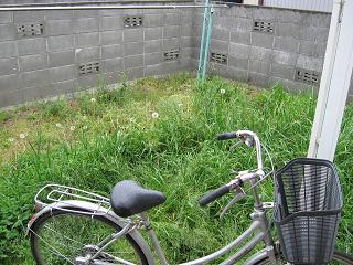 f0065199_8484841.jpg