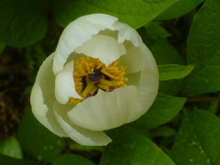 f0052603_123710.jpg