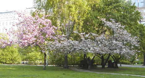 f0021504_125366.jpg