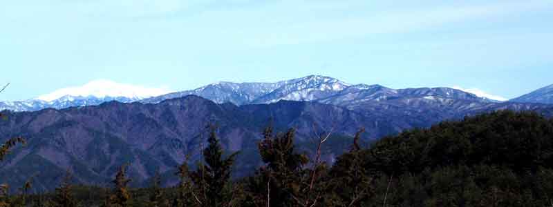e0001110_3463286.jpg