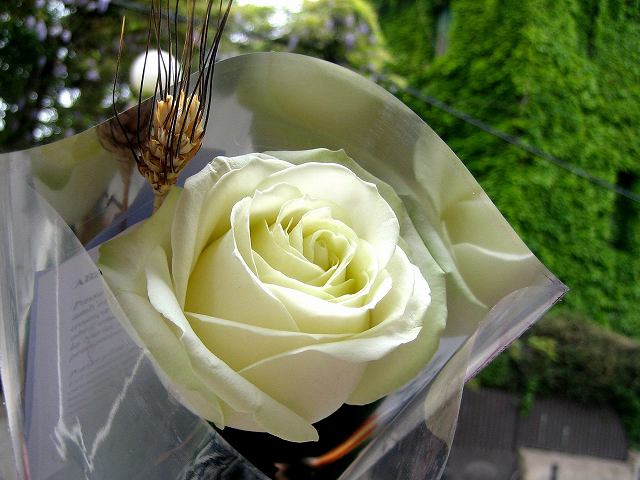 b0064411_1395964.jpg