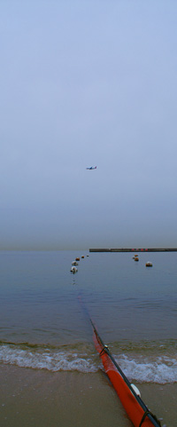 d0062111_358511.jpg