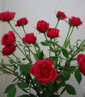 f0014812_1433660.jpg