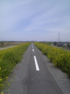 c0019617_6474235.jpg