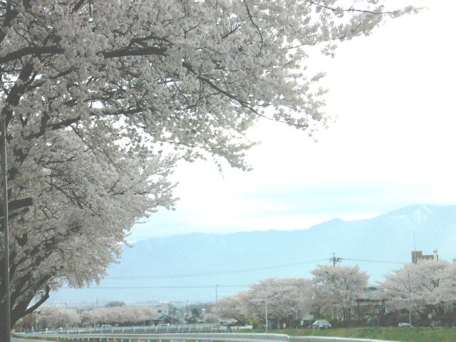 e0044421_2158436.jpg