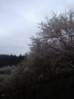 f0033921_21253225.jpg