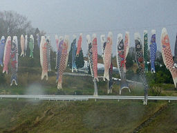 c0050522_20121788.jpg