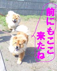 a0048526_17132322.jpg