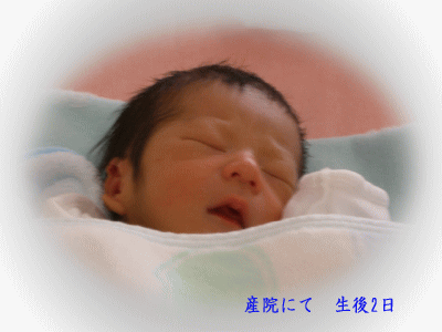 e0088531_13404815.gif