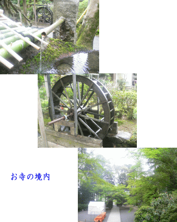 e0088531_13482894.gif