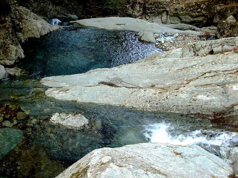 f0039234_20561322.jpg