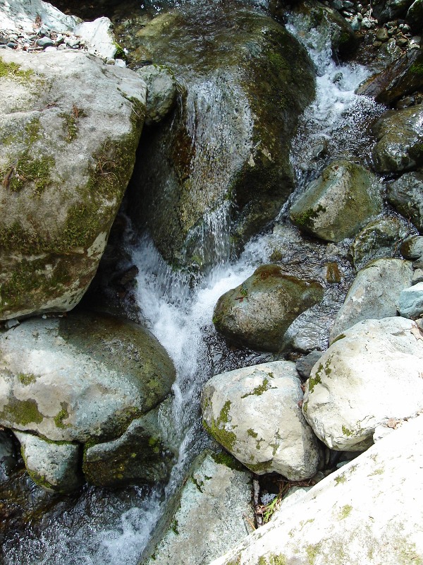 f0039234_2057418.jpg