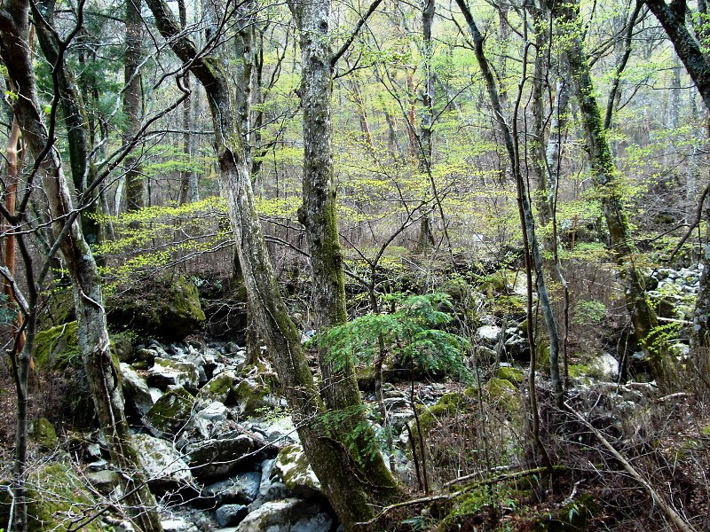 f0039234_2057551.jpg